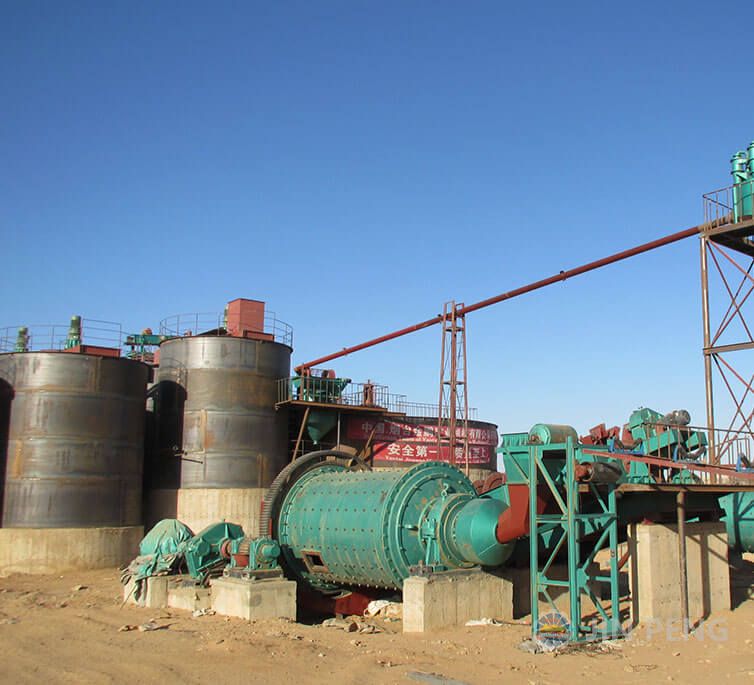 Sudan Sahara 500t/d CIL plant